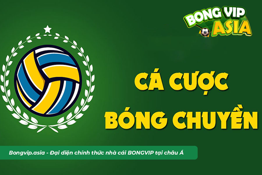 Cá cược bóng chuyền bongvip là gì?