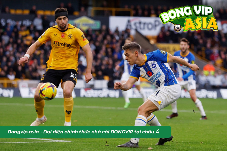 Dự đoán phân tích kèo Brighton vs Wolves