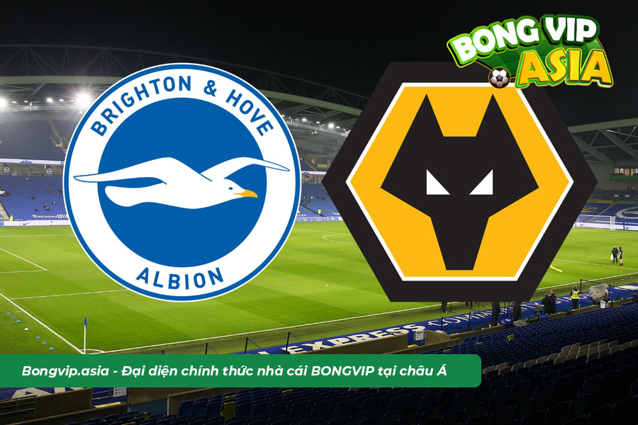 Soi kèo Brighton vs Wolves ngày 29/4