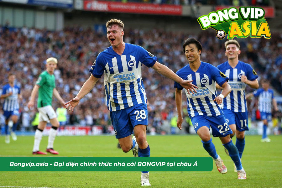 Dự kiến cầu thủ xuất hiện trong trận Brighton vs AEK Athens