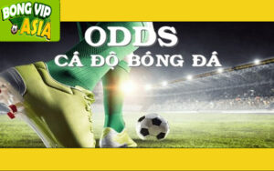 Khám Phá "Odds bóng đá" – Bí Quyết Chiến Thắng Cùng Bongvip