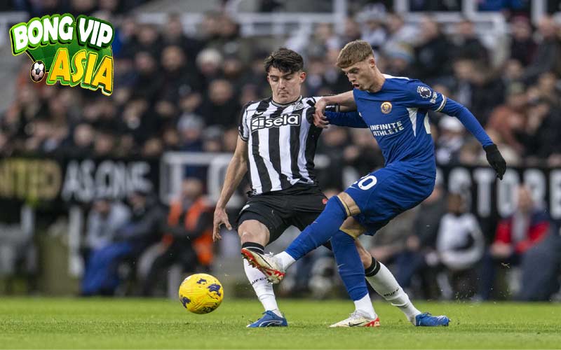 Nhận định Chelsea vs Newcastle United Ngày 27/10/2024