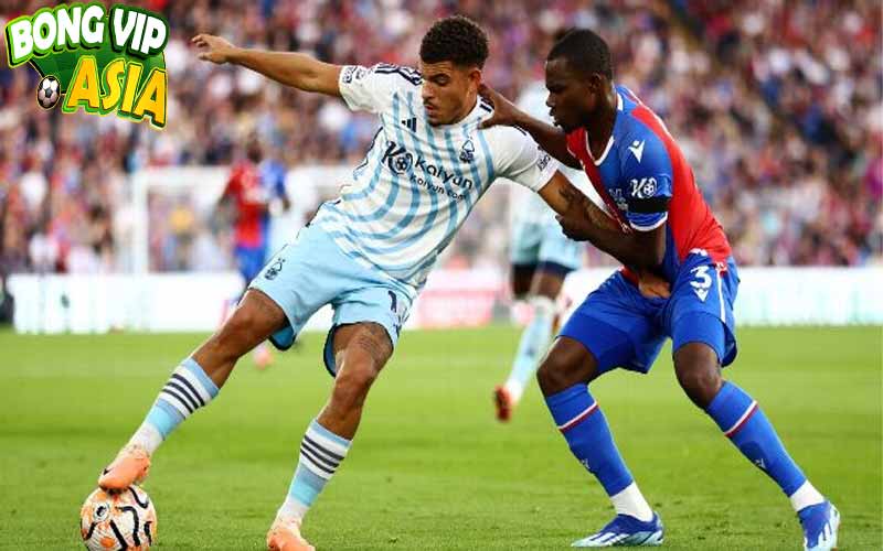 Soi kèo Nottingham vs Crystal Palace Ngày 20/10/2024