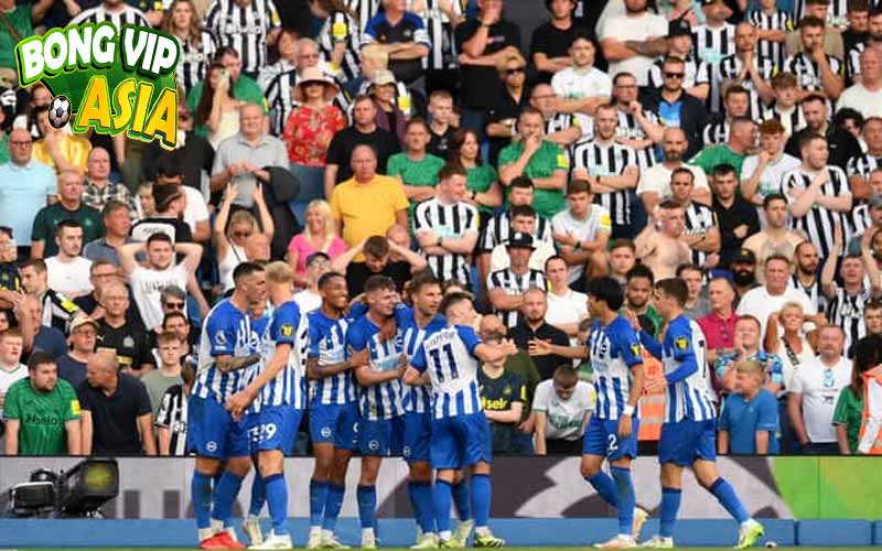 Soi Kèo Newcastle vs Brighton Ngày 19/10/2024