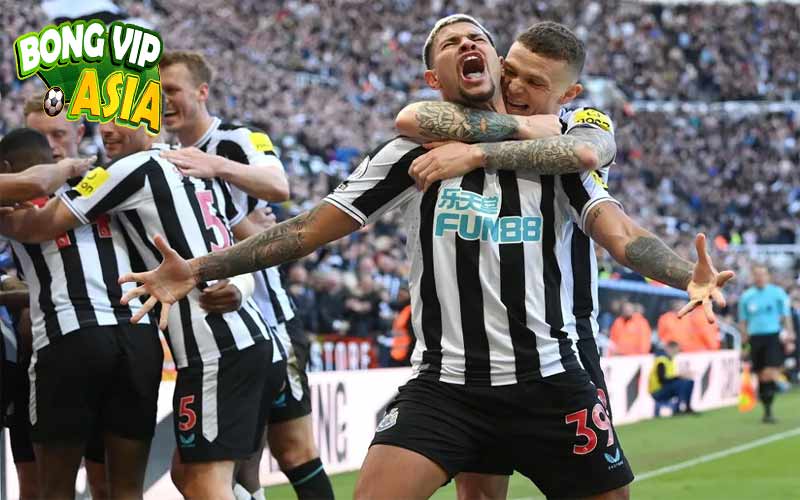 Soi Kèo Newcastle vs Brighton Ngày 19/10/2024