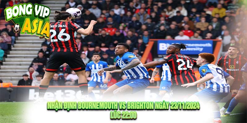 Nhận định Bournemouth vs Brighton Ngày 23/11/2024