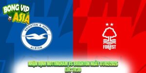 Nhận Định Nottingham vs Brighton Ngày 01/02/2025