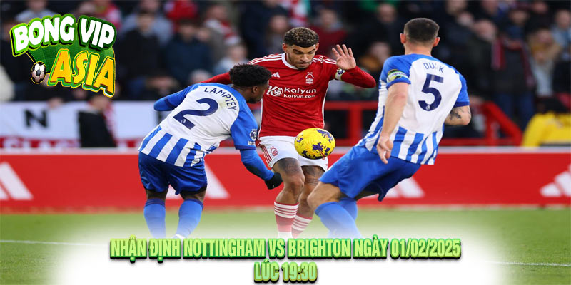 Nhận Định Nottingham vs Brighton Ngày 01/02/2025