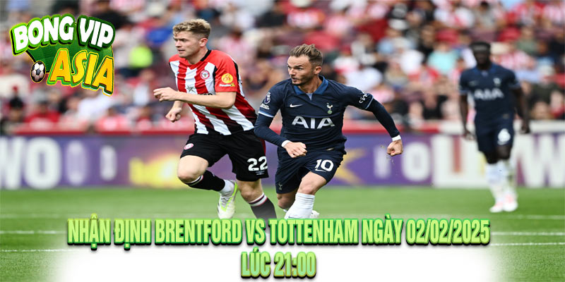 Phân Tích & Nhận Định Brentford vs Tottenham Chi Tiết