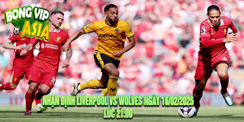 Nhận Định Liverpool vs Wolves Ngày 16/02/2025