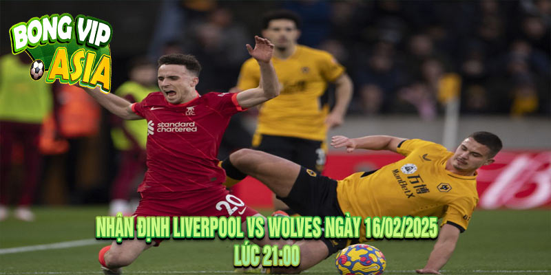 Nhận Định Liverpool vs Wolves Ngày 16/02/2025