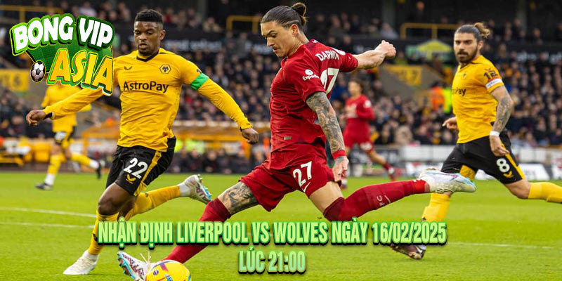 Nhận Định Liverpool vs Wolves Ngày 16/02/2025